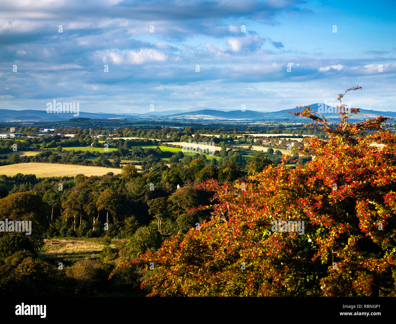 Vinegar Hill outside Enniscorthy, County Wexford, Ireland Stock Photo