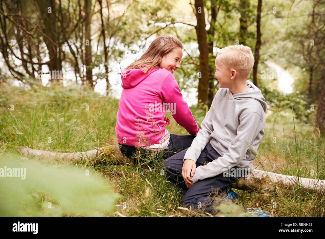 Brother and sister sitting together on a fallen tree in a forest, selective view Stock Photo