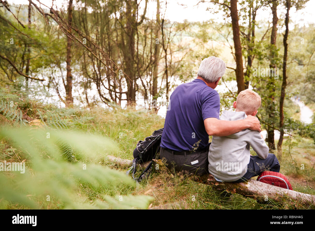 Grandfather and grandson on a hike sitting on a fallen tree in a forest, looking ahead, back view Stock Photo