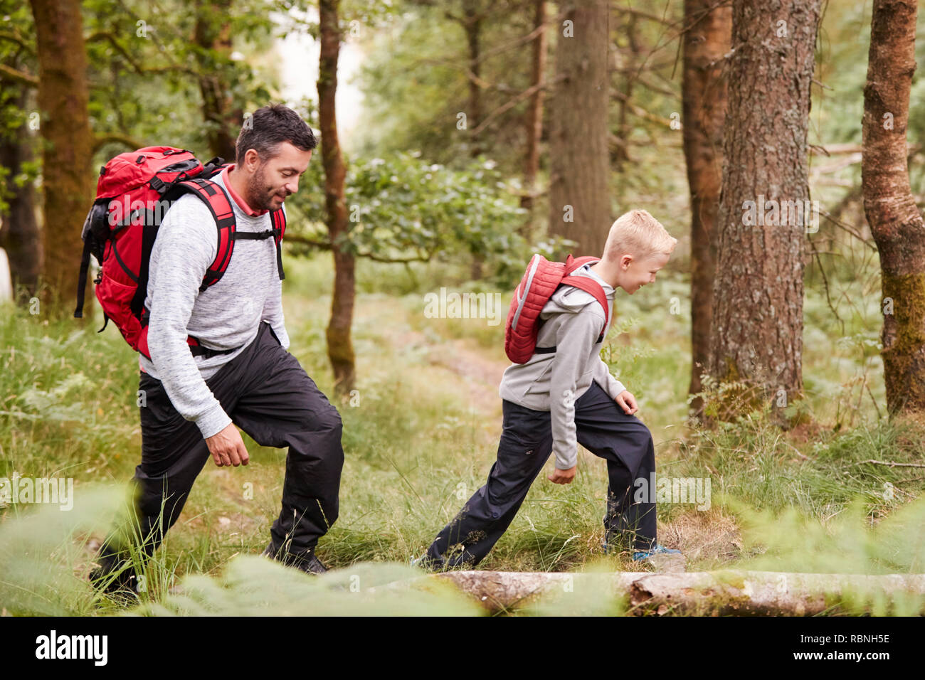 Side view of a boy walking on trail in a forest with his father, selective focus Stock Photo