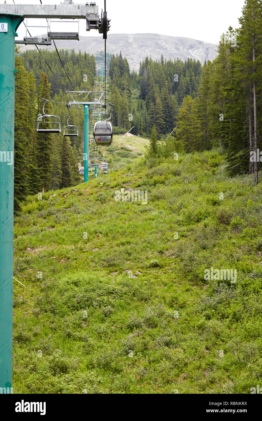 Cable Car Over Forested Valley In Alaska Stock Photo