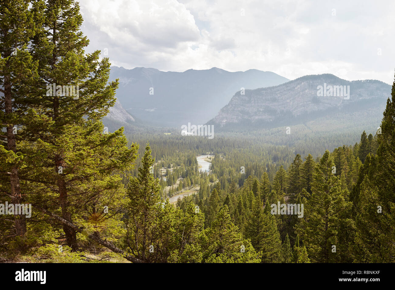 View Over River In Wooded Valley Between Mountains In Alaska Stock Photo