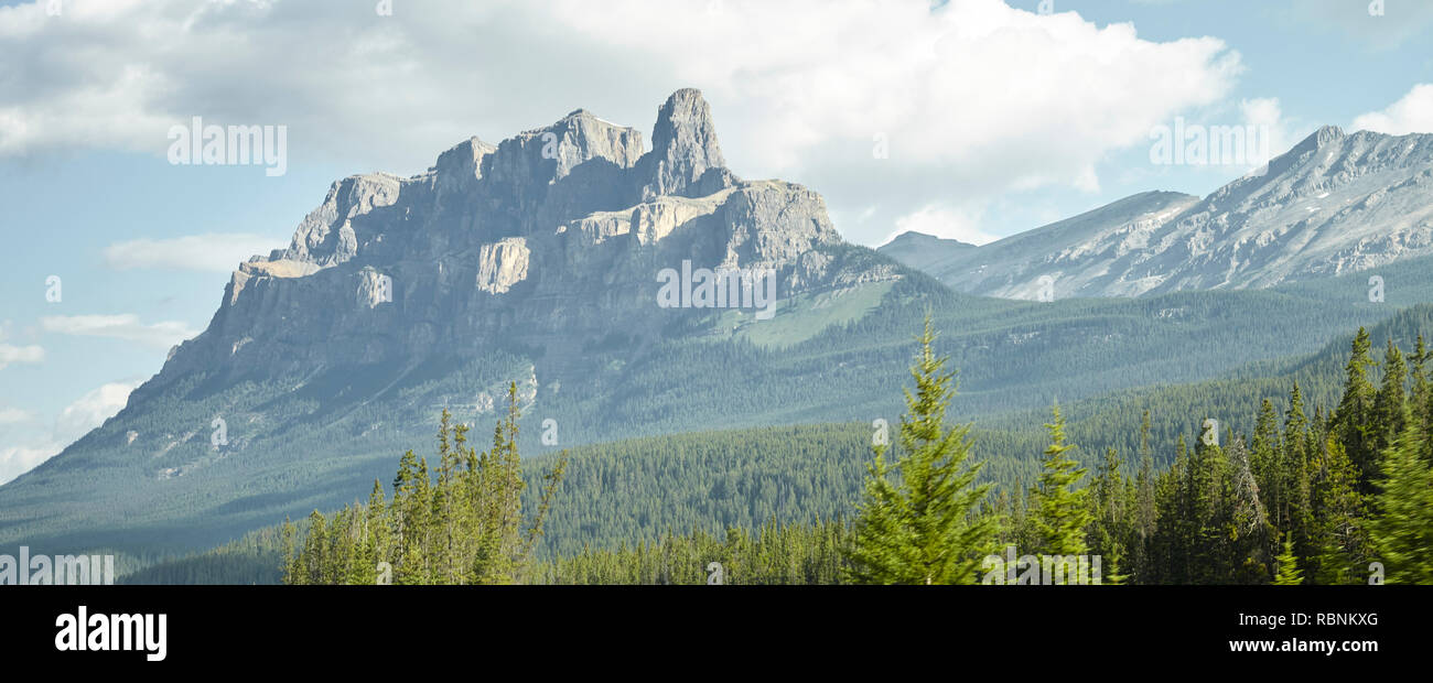 Forest Tree Line With Mountains Behind In Alaska Stock Photo
