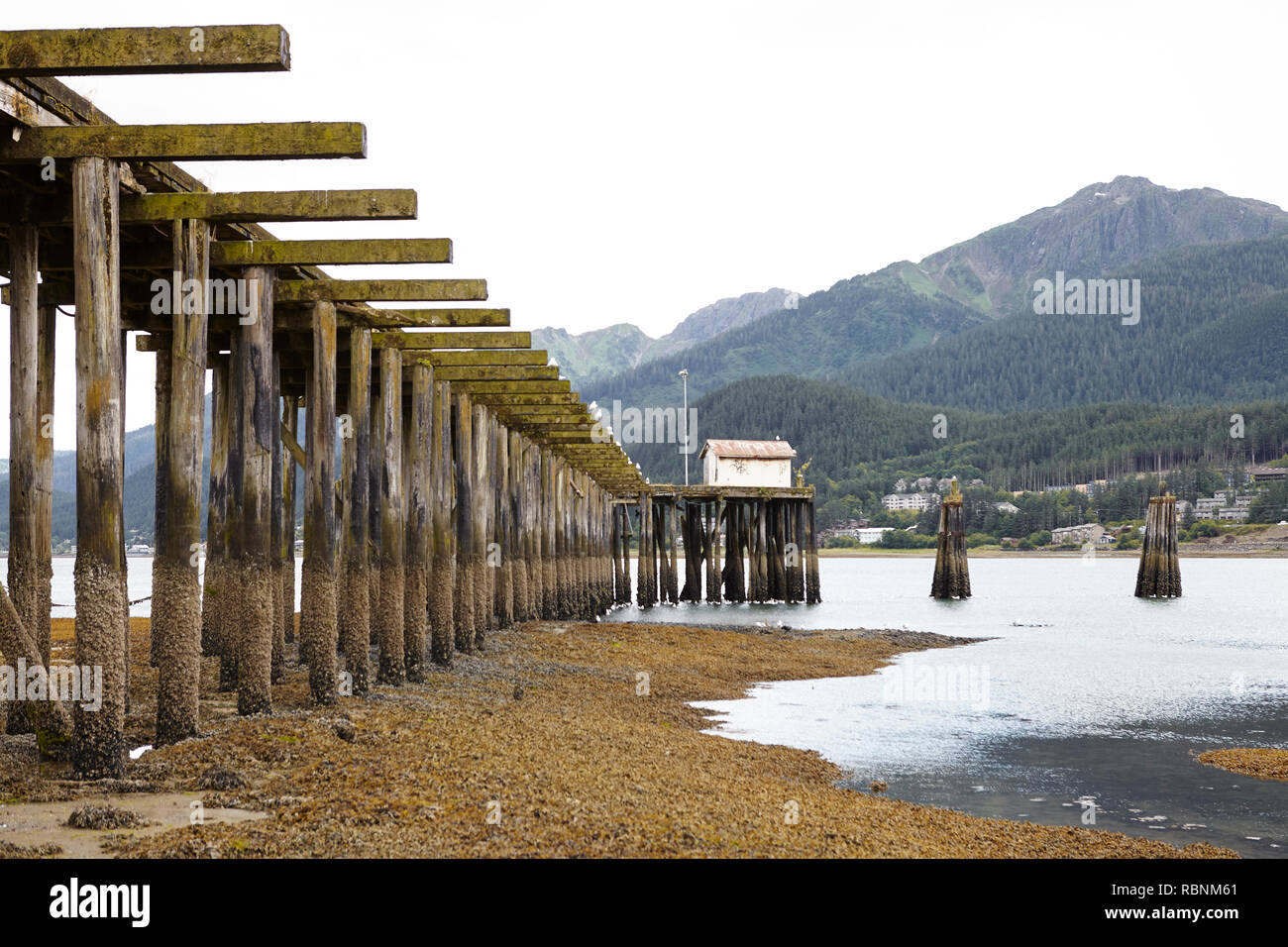 Wooden Jetty Stretching Into Lake With Forest Covered Mountains Behind In Alaska Stock Photo