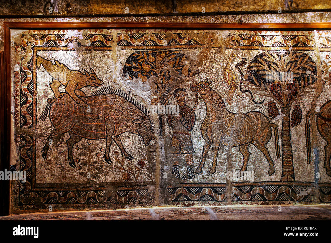 Mosaic coming from Ferkya church, in the Al-Zawiyah mountains. Museum 