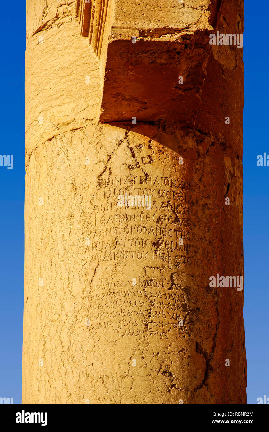 Column with writting in greek and palmyrien about Zenobia and her son ...
