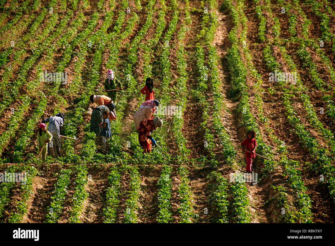 Vida rural cotidiana hi-res stock photography and images - Alamy