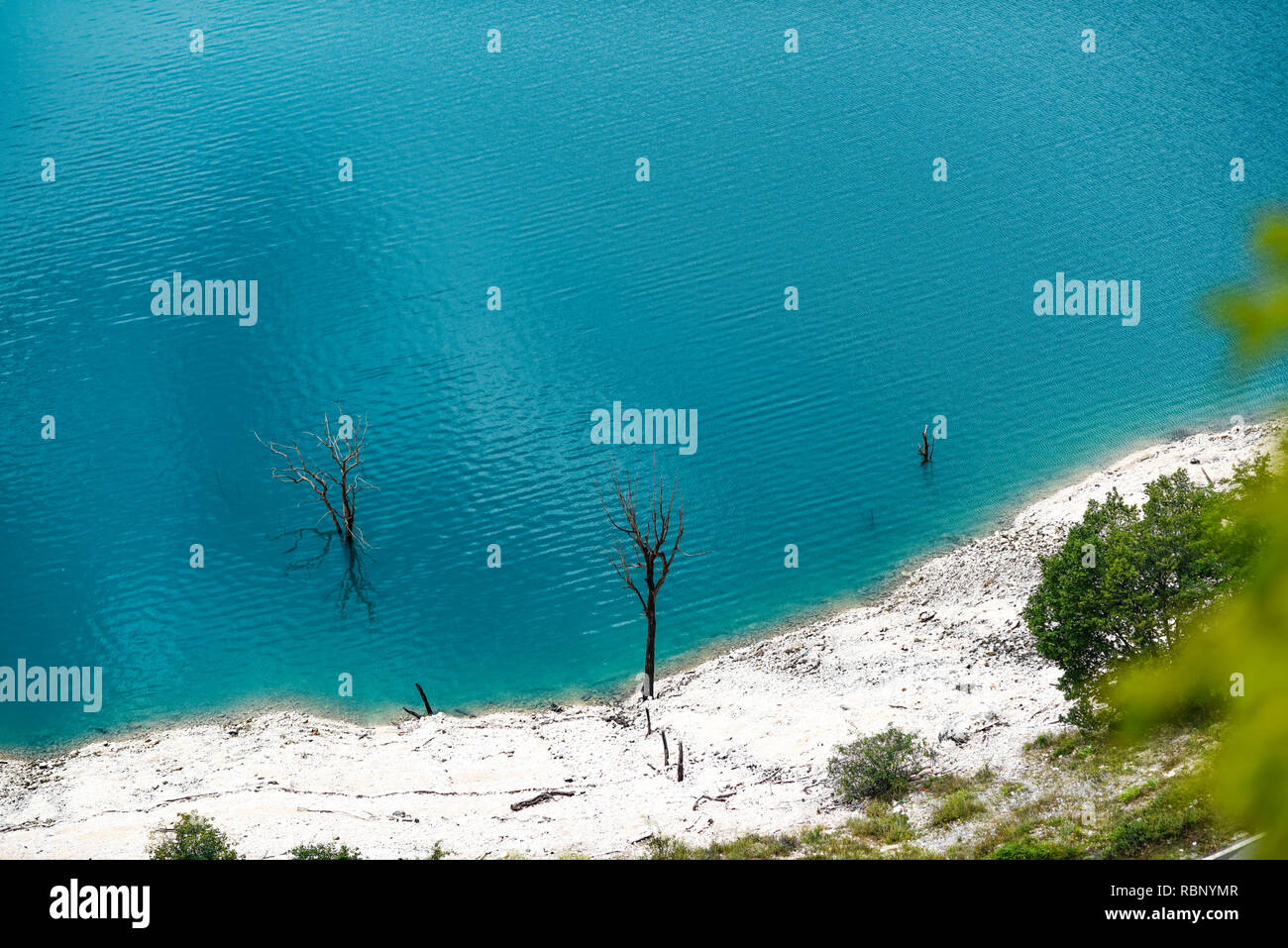 Dried trees protruding from the turquoise lake. Stock Photo