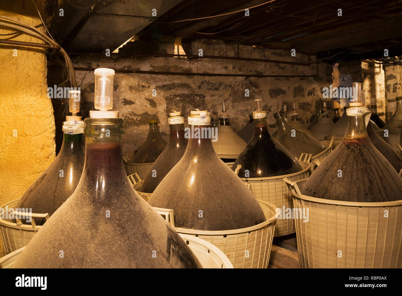 Homemade red wine stored in large glass jugs in baskets in the basement