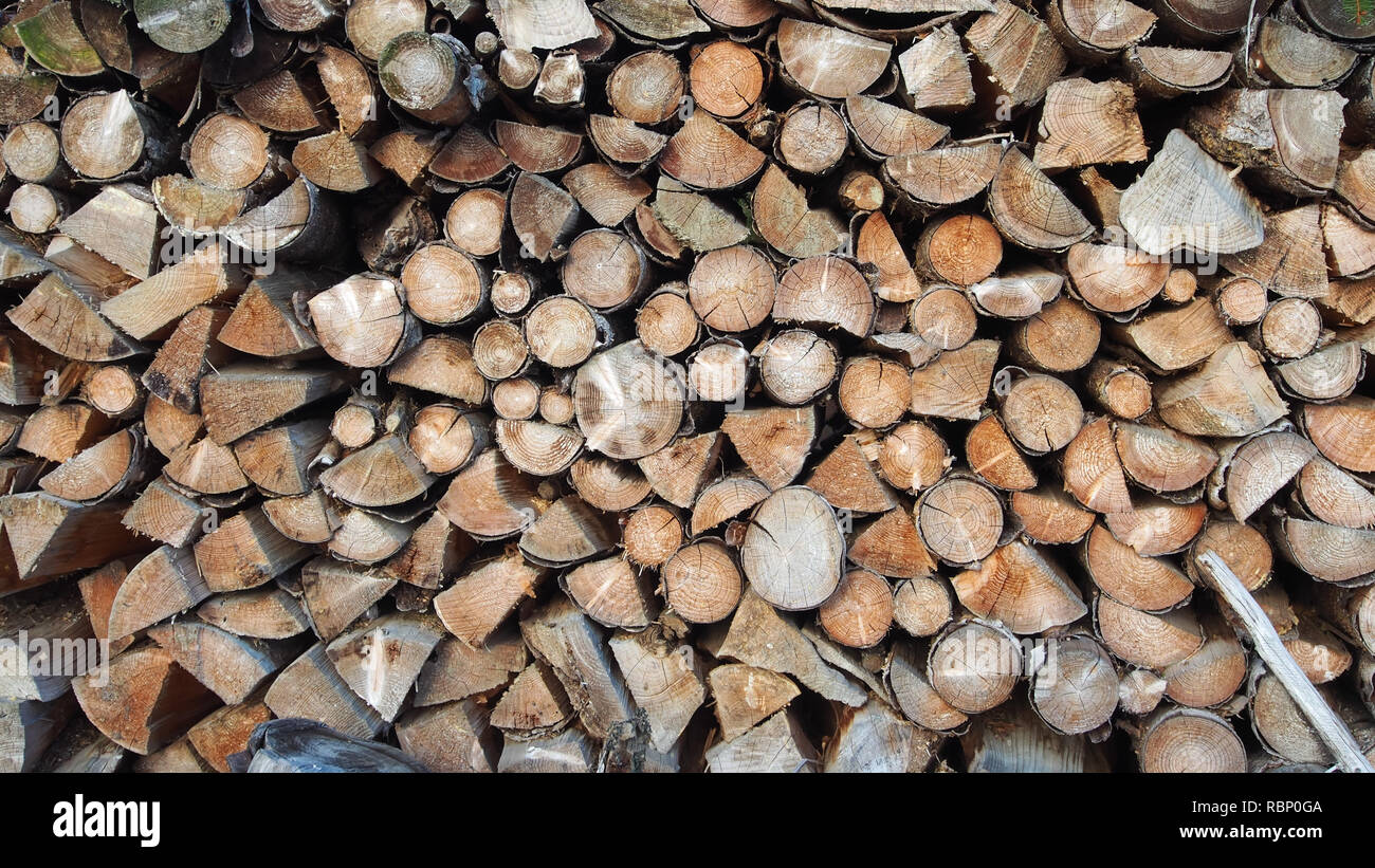 Hardwood tree stumps hi-res stock photography and images - Alamy