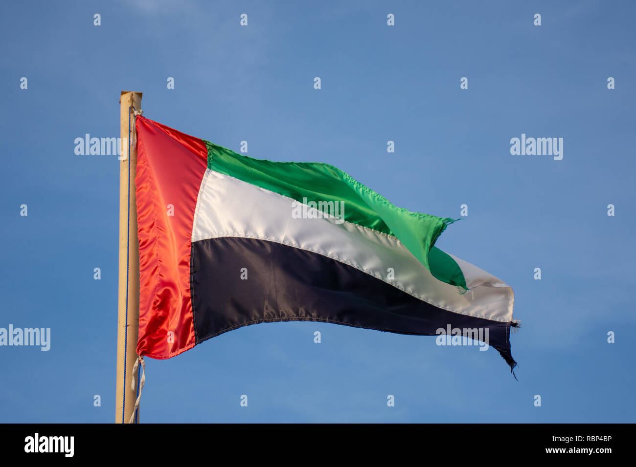 UAE flag blowing in the wind with a blue sky background in the bright evening sunshine. Stock Photo