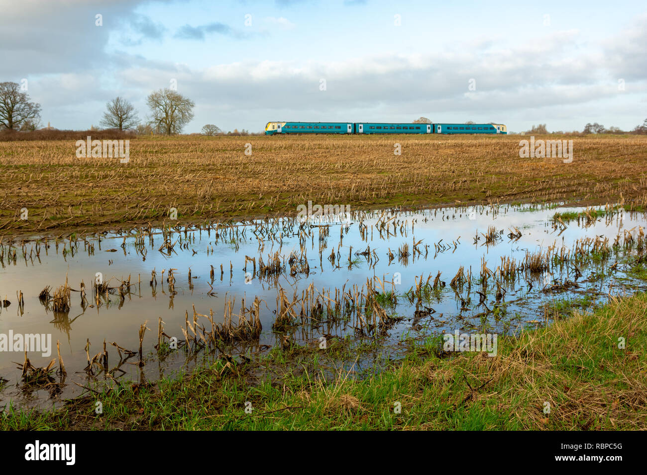 A former Arriva train now operated by Transport for Wales, passes arable farmland under water in winter in the flat Cheshire landscape. Stock Photo