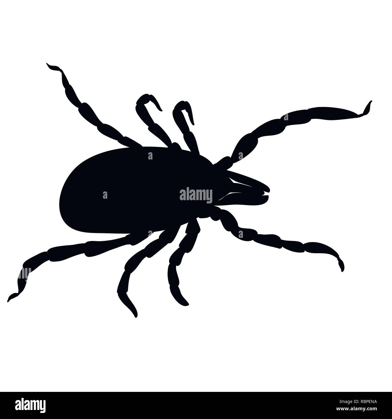 Mite parasites. Tick silhouette isolated on white background. Tick parasite, tick insect. Sketch of Tick Stock Vector