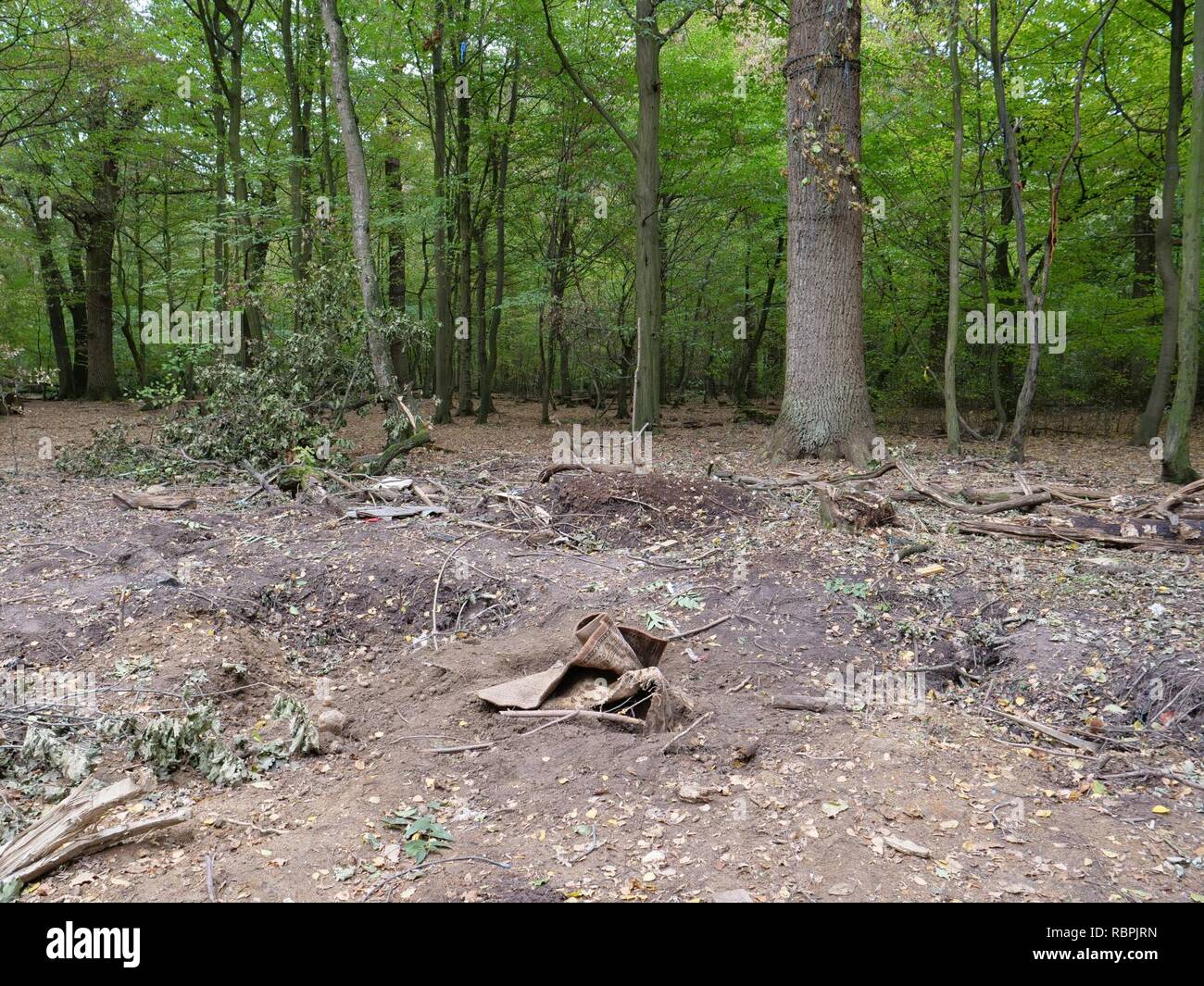 ‘Oaktown‘ treehouse village after eviction 02 Stock Photo Alamy