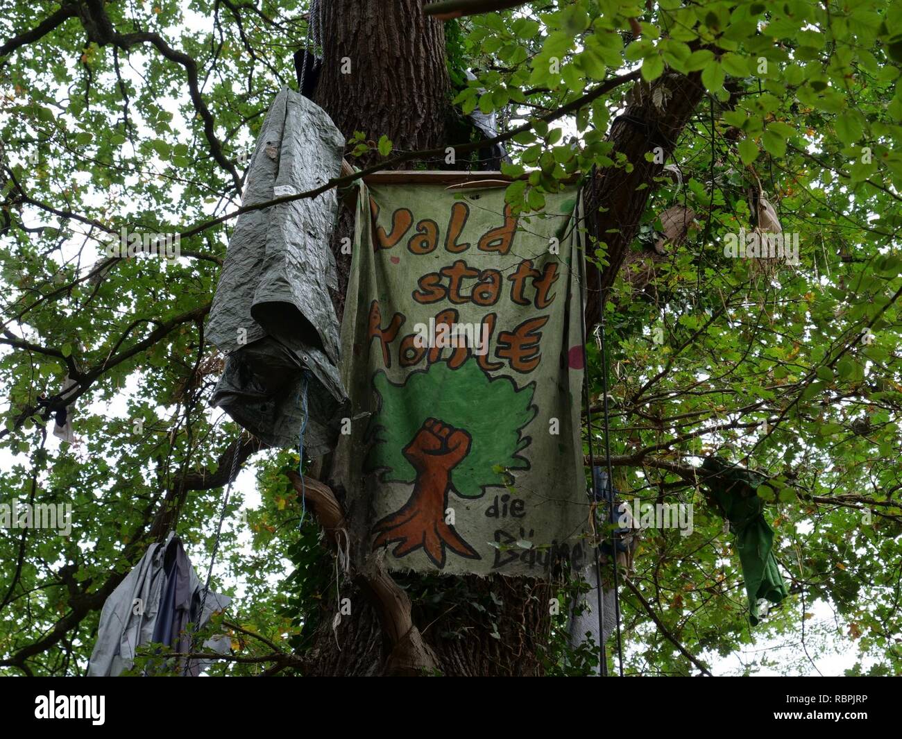 ‘Oaktown‘ treehouse village after eviction 03 Stock Photo Alamy
