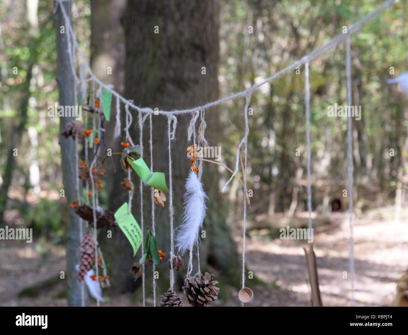 ‘Oaktown‘ treehouse village after eviction 06 Stock Photo Alamy