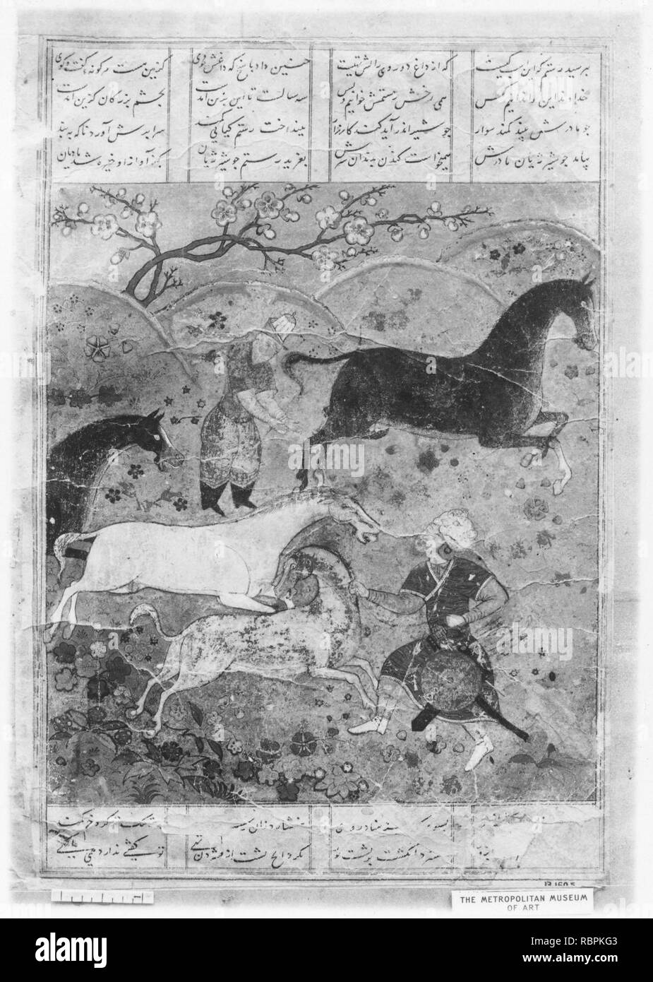 ‘Rustam Captures the Horse Rakhsh‘, Folio from a Shahnama (Book of ...