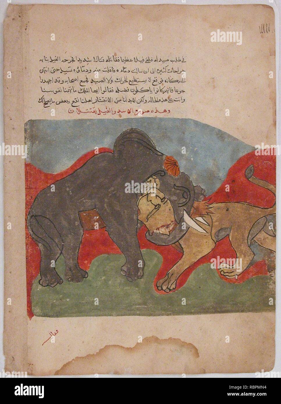 ‘The Lion and the Elephant Fighting‘, Folio from a Kalila wa Dimna