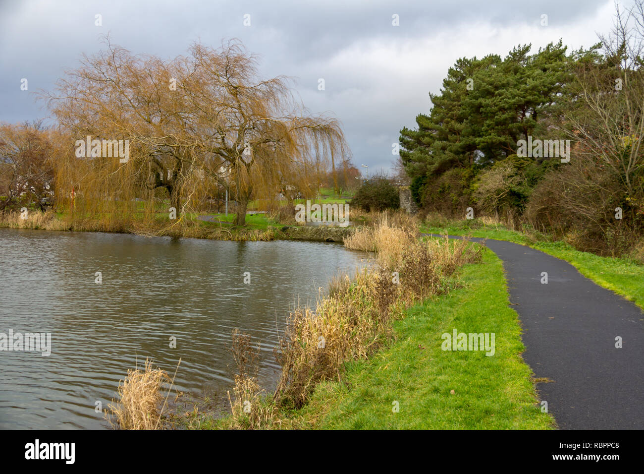 A curved path leads along the shore of a small lake in Naas Park in Ireland Stock Photo