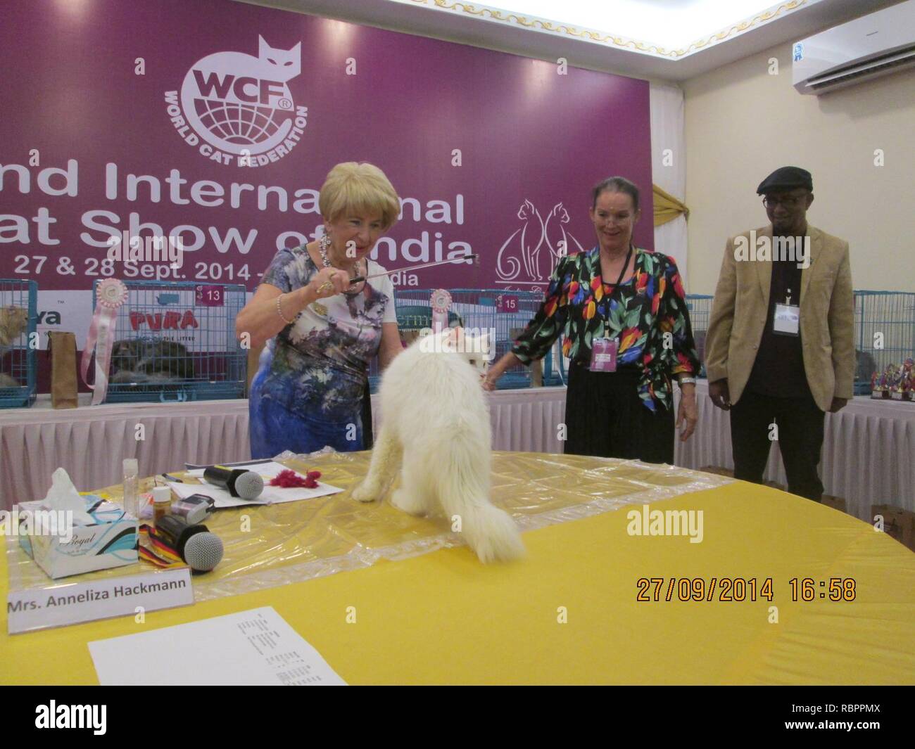 '2nd International Cat Show' in India.. Stock Photo