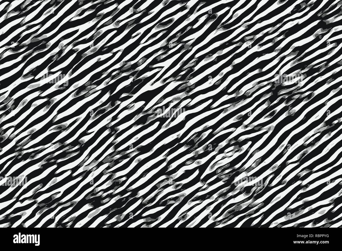 Zebra black and white stripes and skin patterns Stock Photo - Alamy