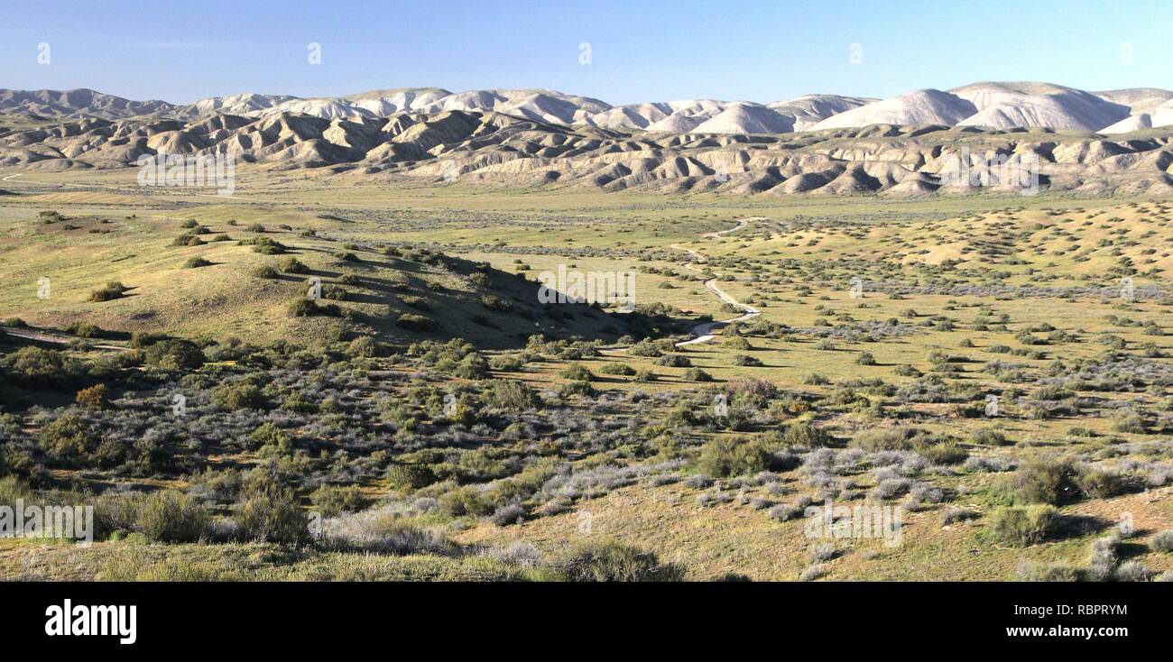 Carrizo springs hires stock photography and images Alamy