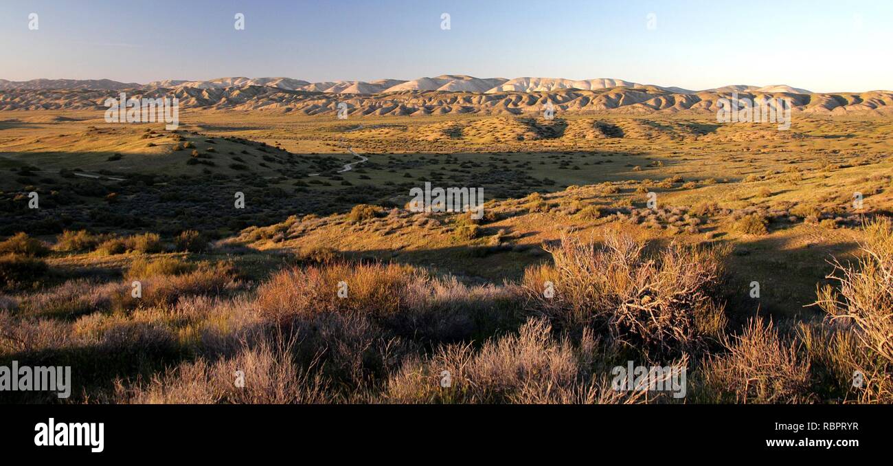 Carrizo springs hires stock photography and images Alamy