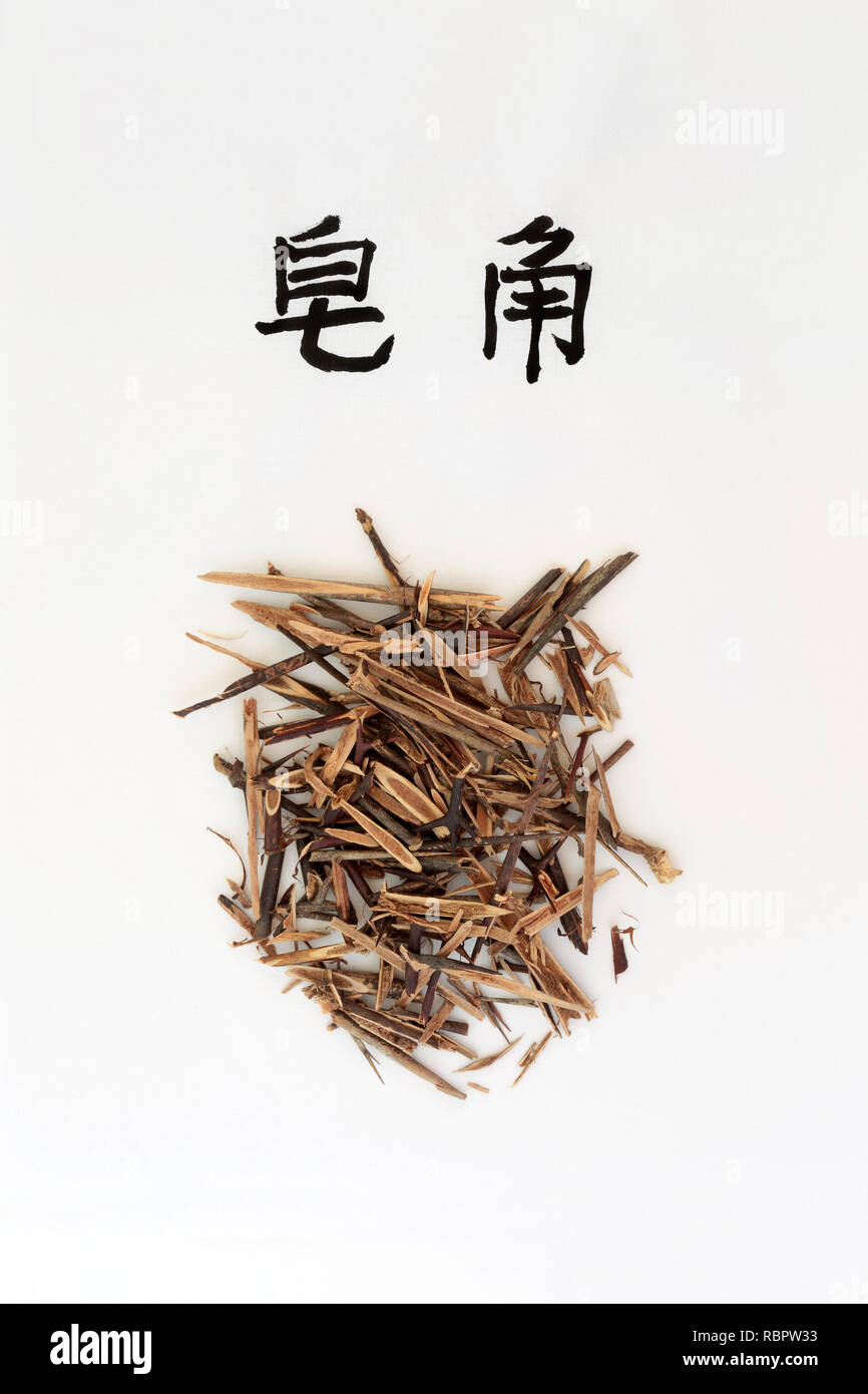 Honeylocust herb used in traditional chinese herbal medicine, is anti