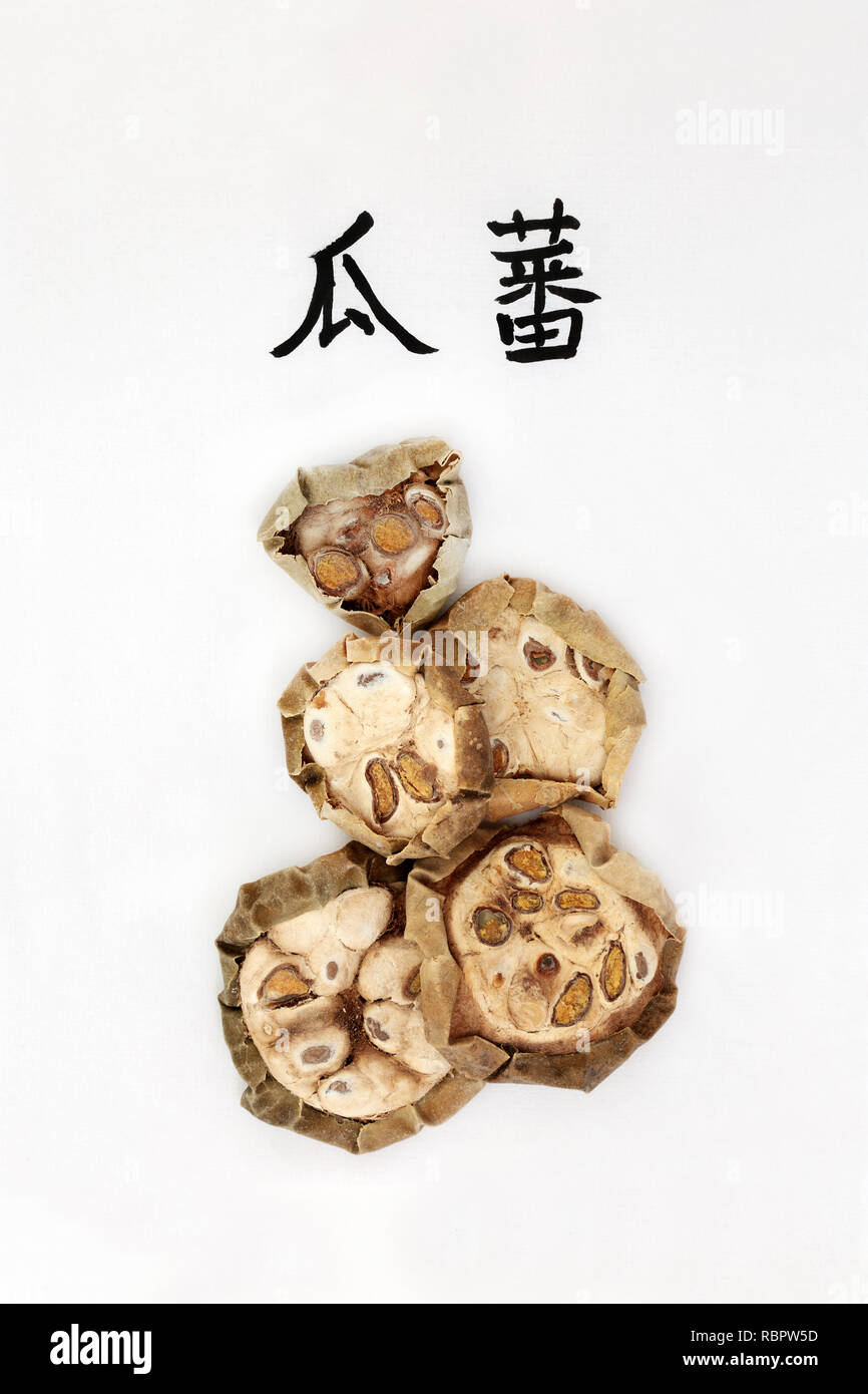 Chinese cucumber herb used in chinese herbal medicine used for