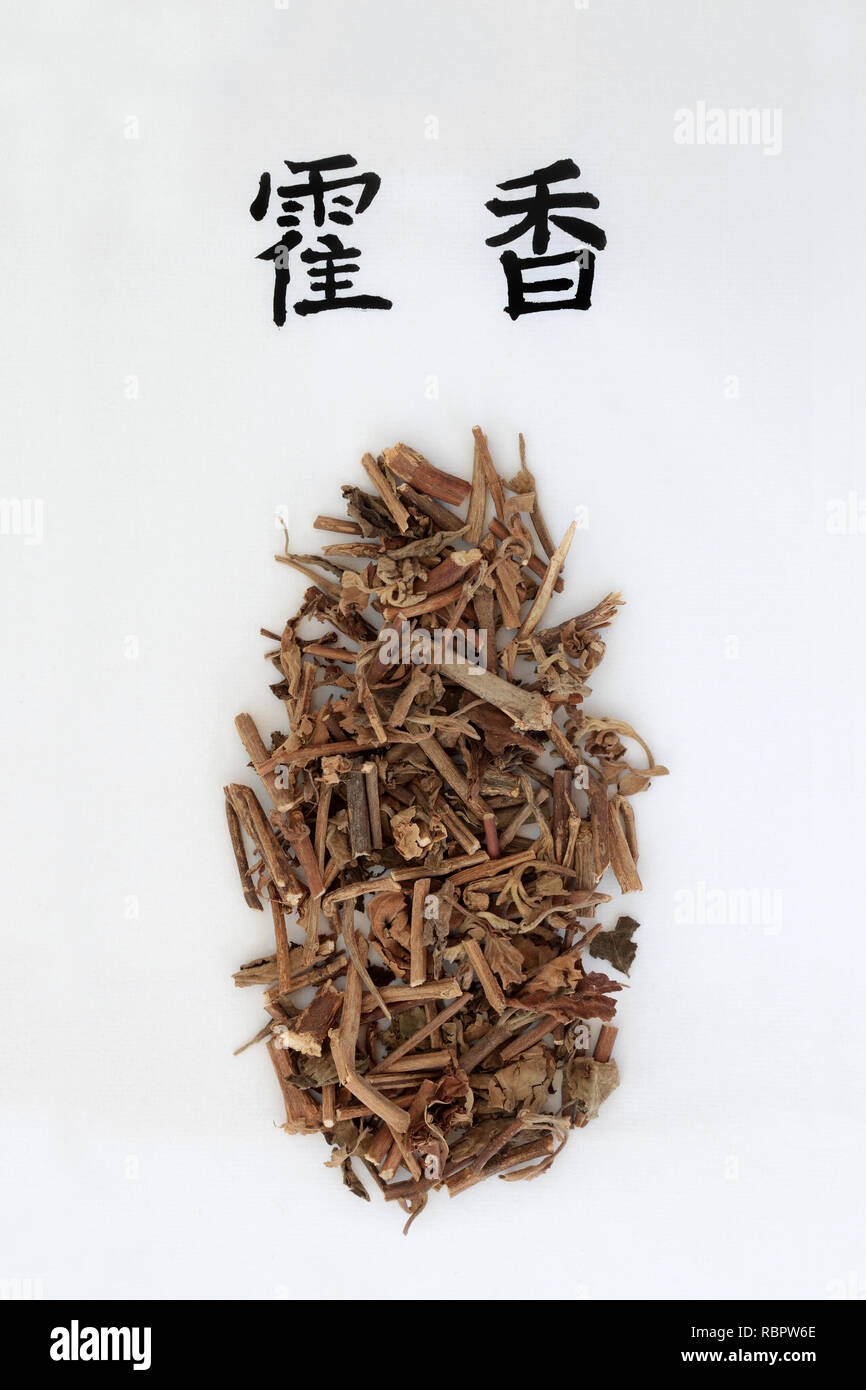 Korean mint herb used in traditional chinese herbal medicine with