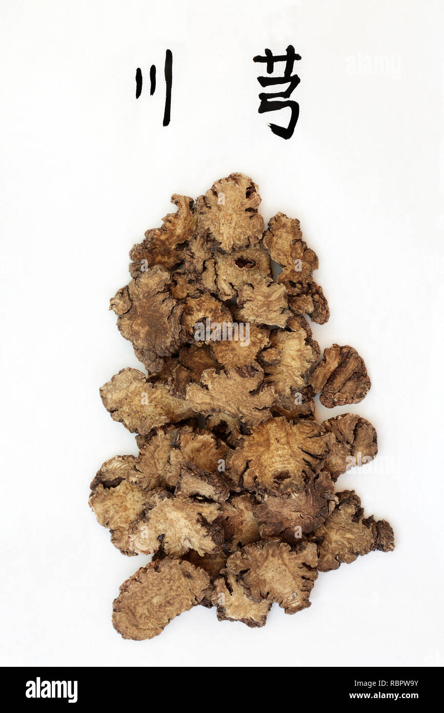 Szechwan lovage root herb used in traditional chinese herbal medicine with calligraphy script. Translation reads as szechwan lovage. Stock Photo