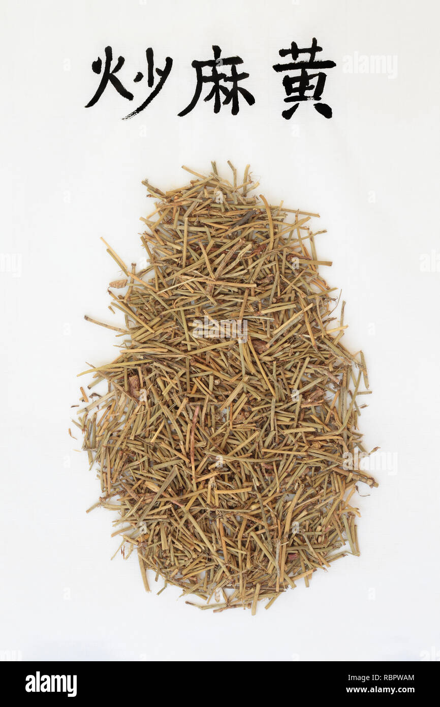 Ephedra herb used in chinese herbal medicine with calligraphy script