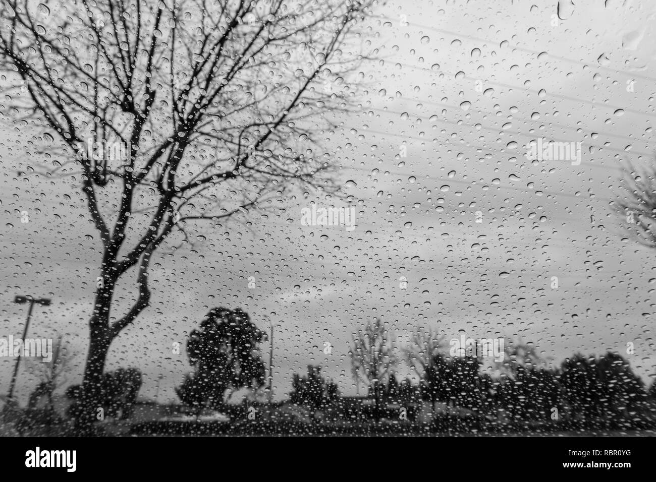 Drops of rain on the window; blurred trees in the background; shallow depth of field; black and white Stock Photo