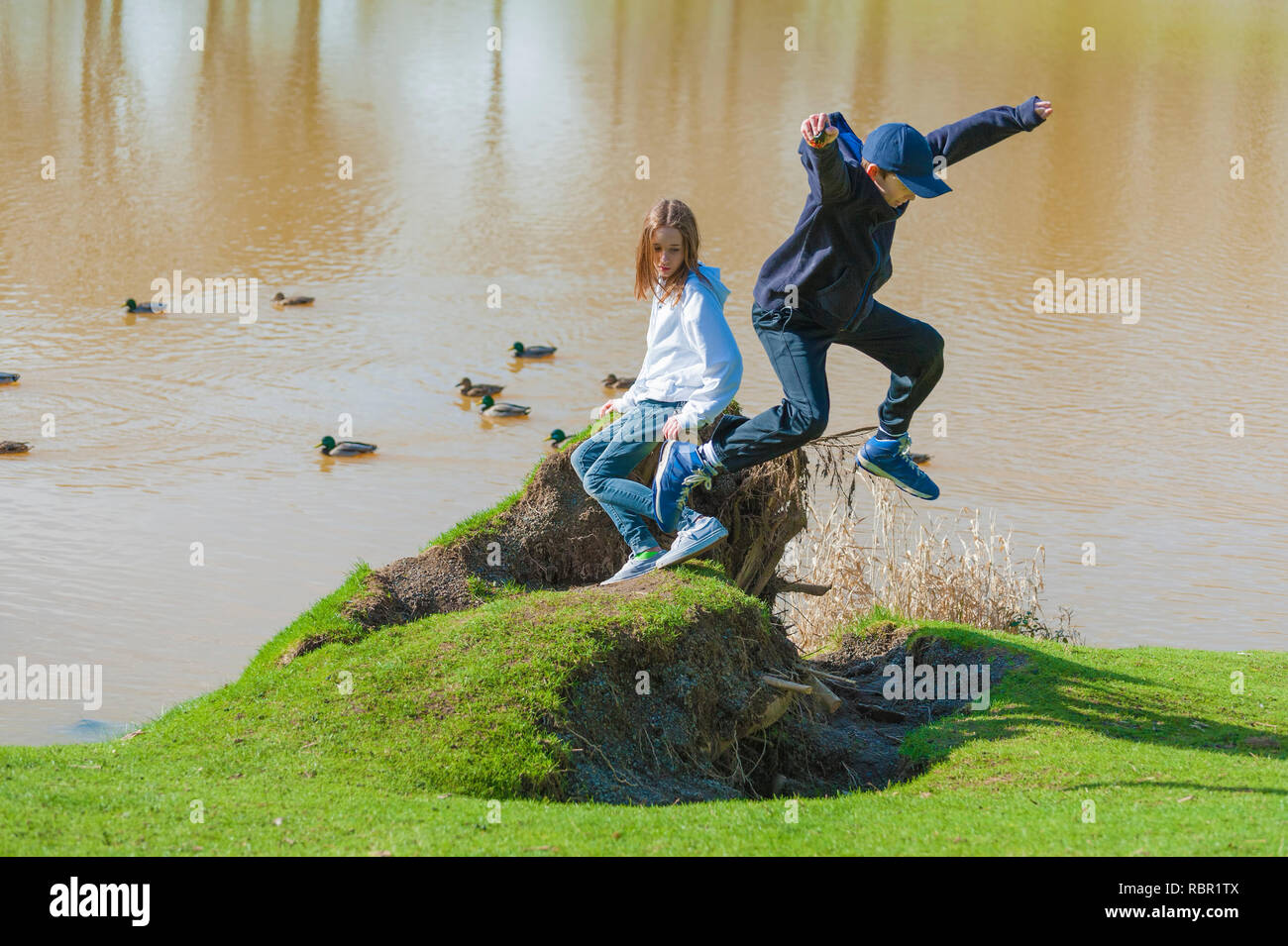 Brother and sister playing on an old stump on the shore of Lake Sakakawea while ducks float by. Stock Photo