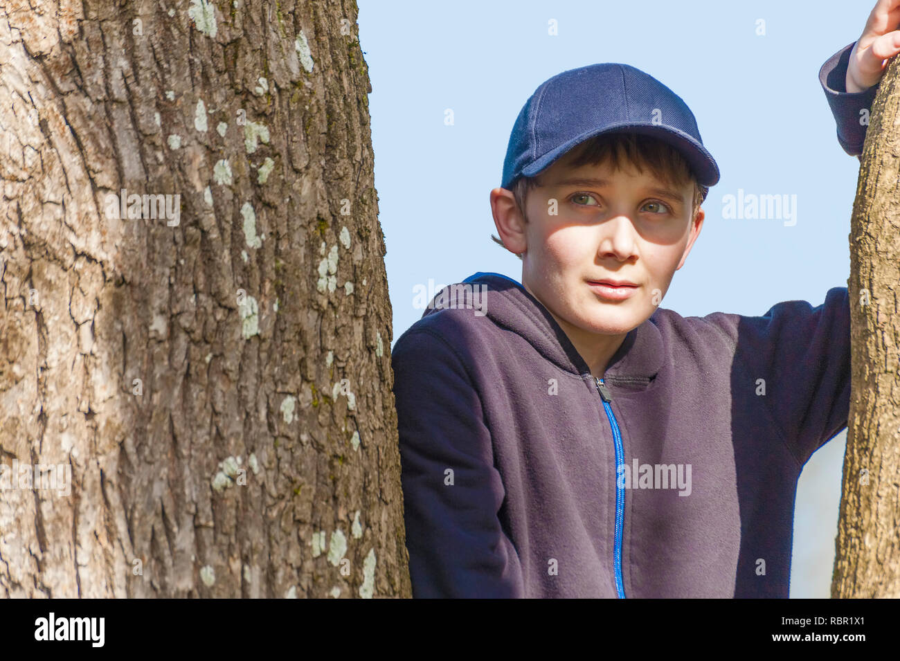 Close up of a young boy in a tree wearing a blue sweatshirt and ball cap. Stock Photo