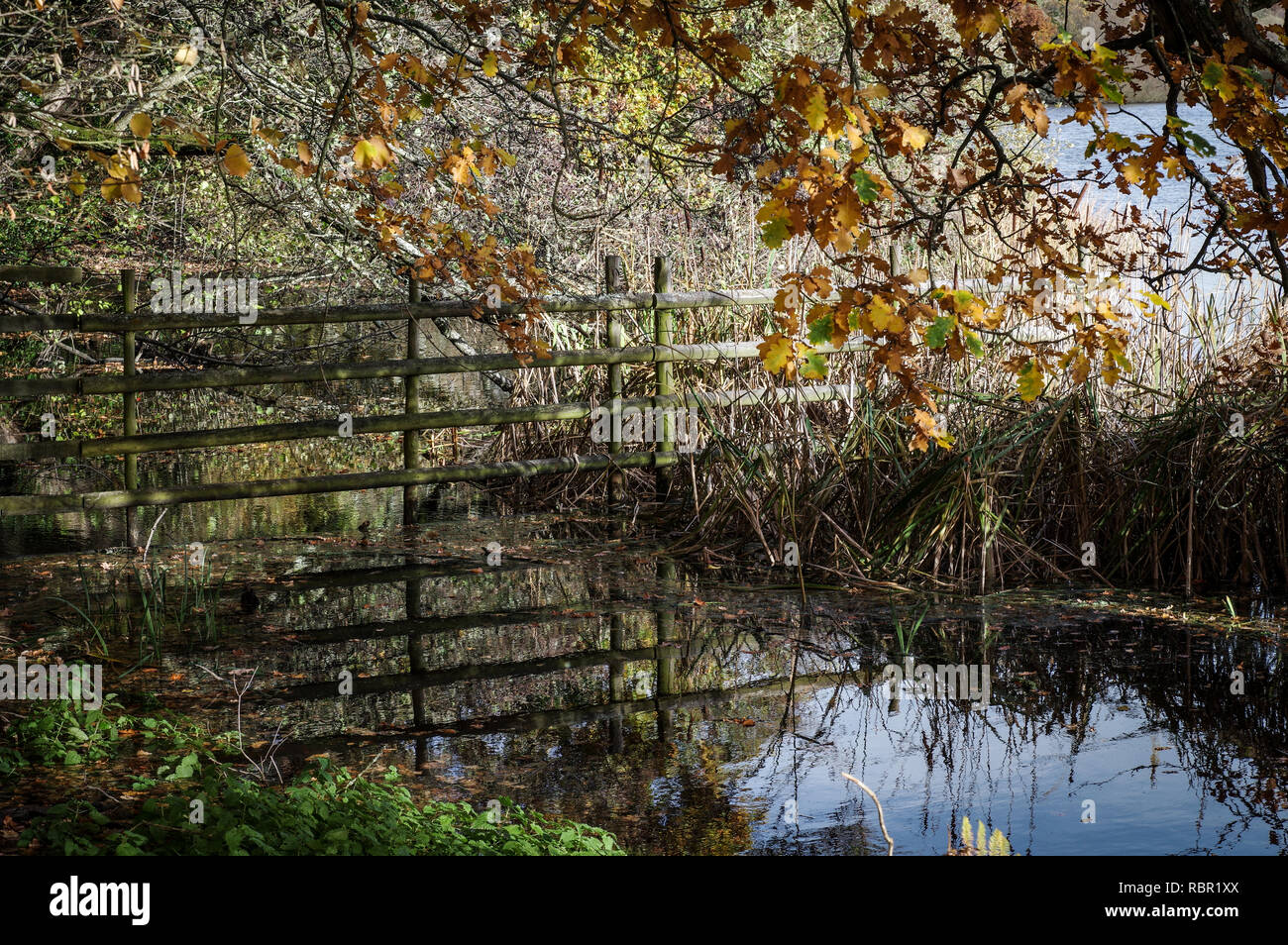Beautiful autumn day in West Sussex, Southeast England Stock Photo