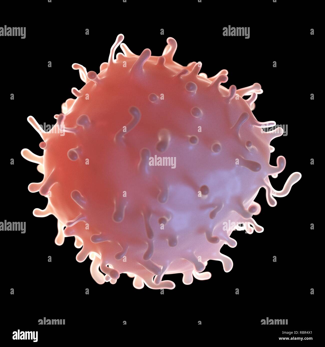 Illustration of a stem cell Stock Photo - Alamy