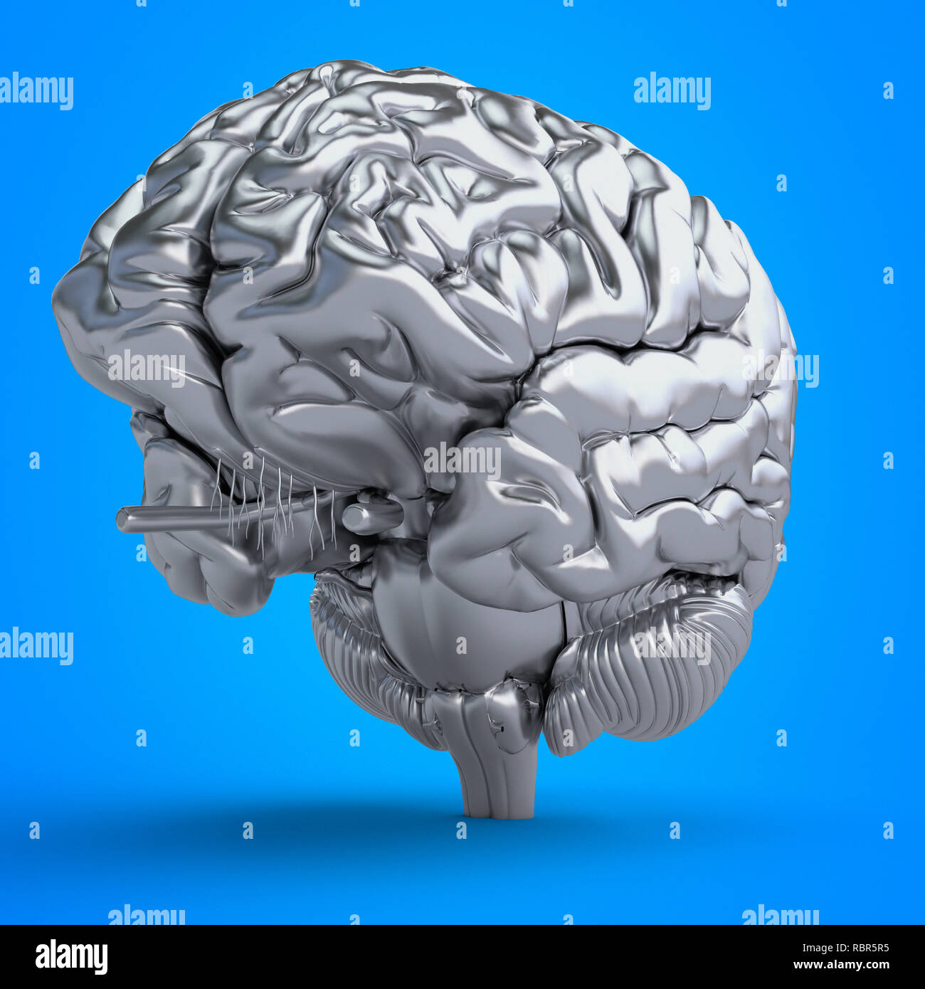 Illustration of a brain Stock Photo - Alamy