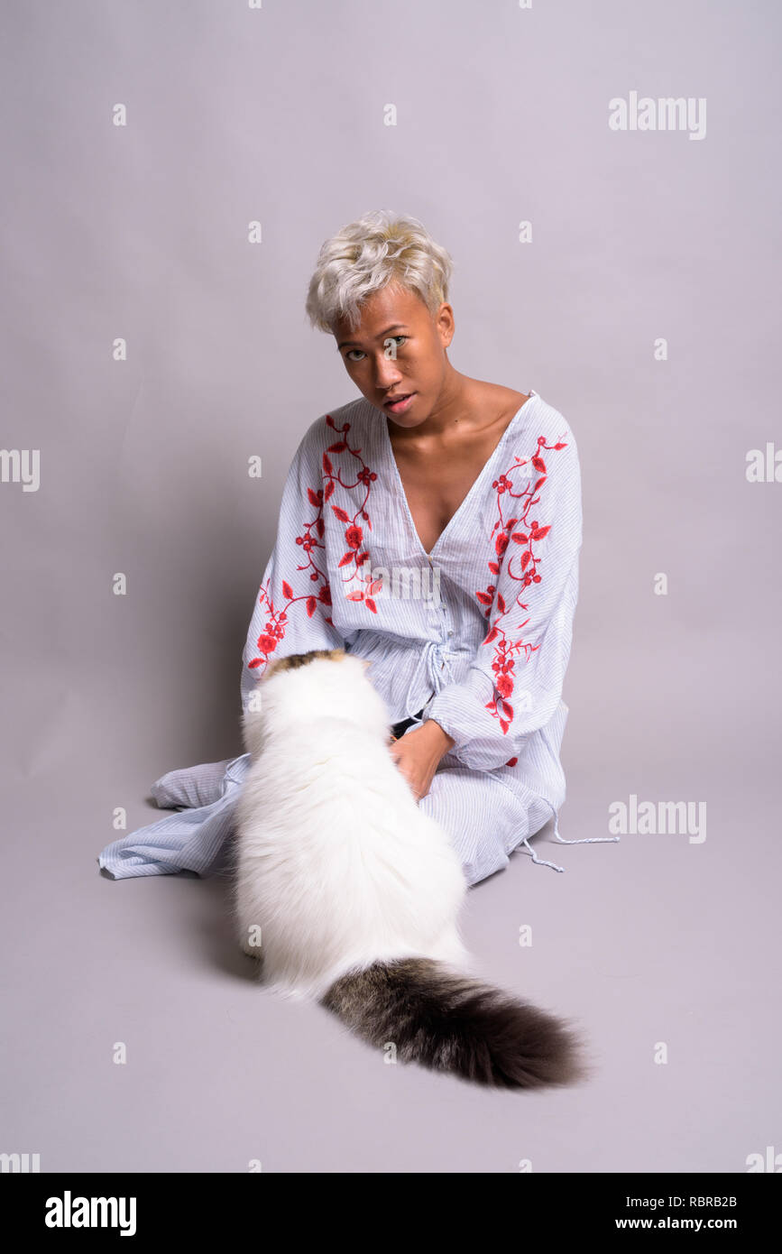 Cute cat full body hi-res stock photography and images - Alamy