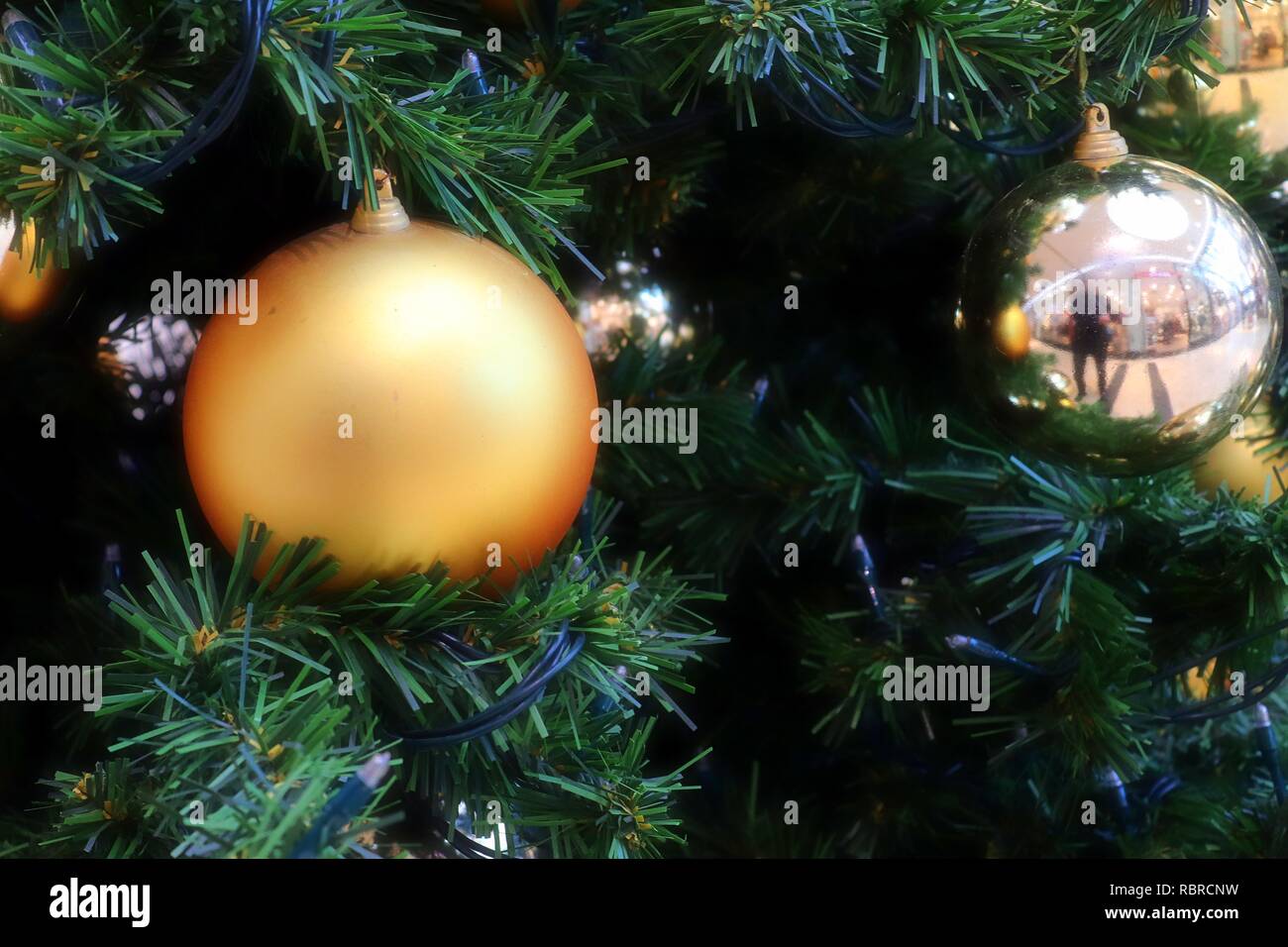 Colorful sparkling christmas decoration with lights on pine trees Stock