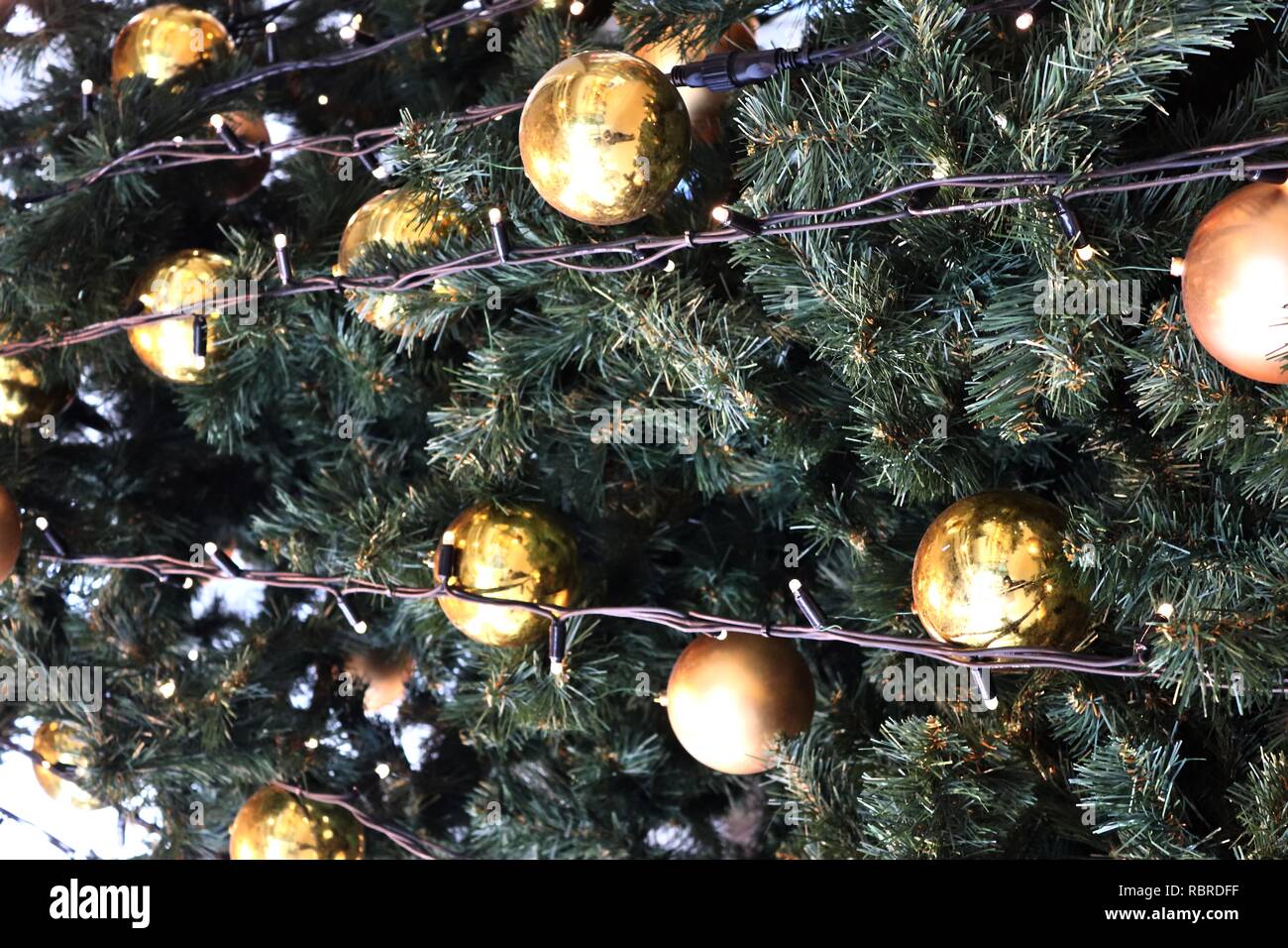 Colorful sparkling christmas decoration with lights on pine trees Stock