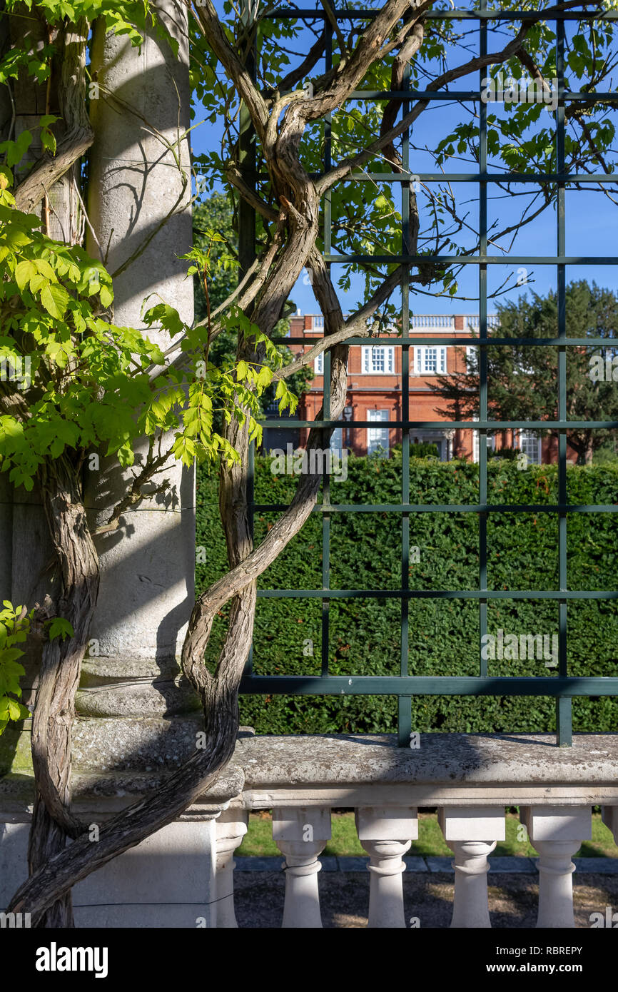 View of villa garden over old metal grid Stock Photo
