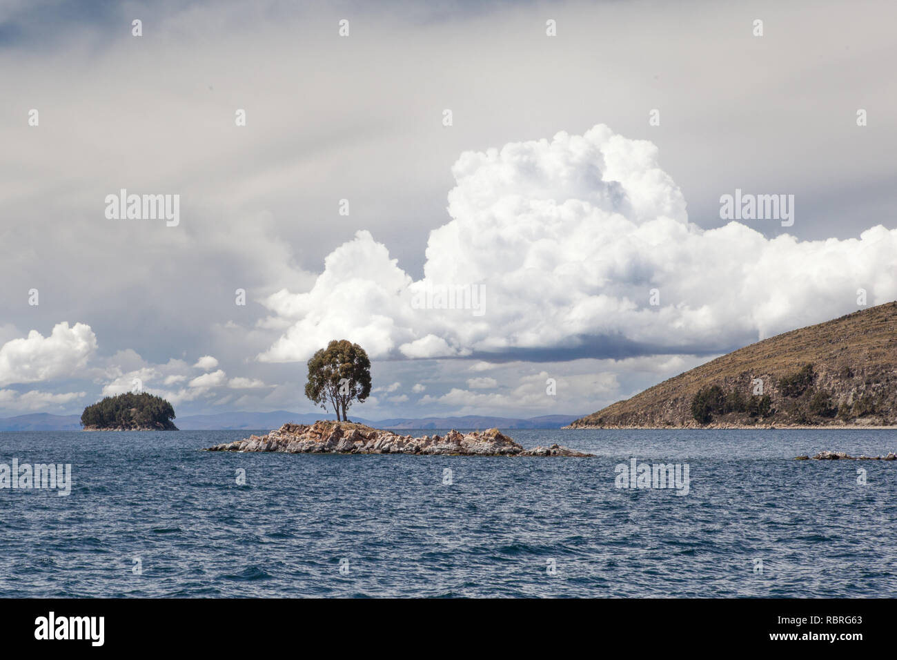 A single gum tree from Australia sits proudly on a tiny island of rock breaching the surface of Lake Titicaca under a cloud mirroring the same shape. Stock Photo