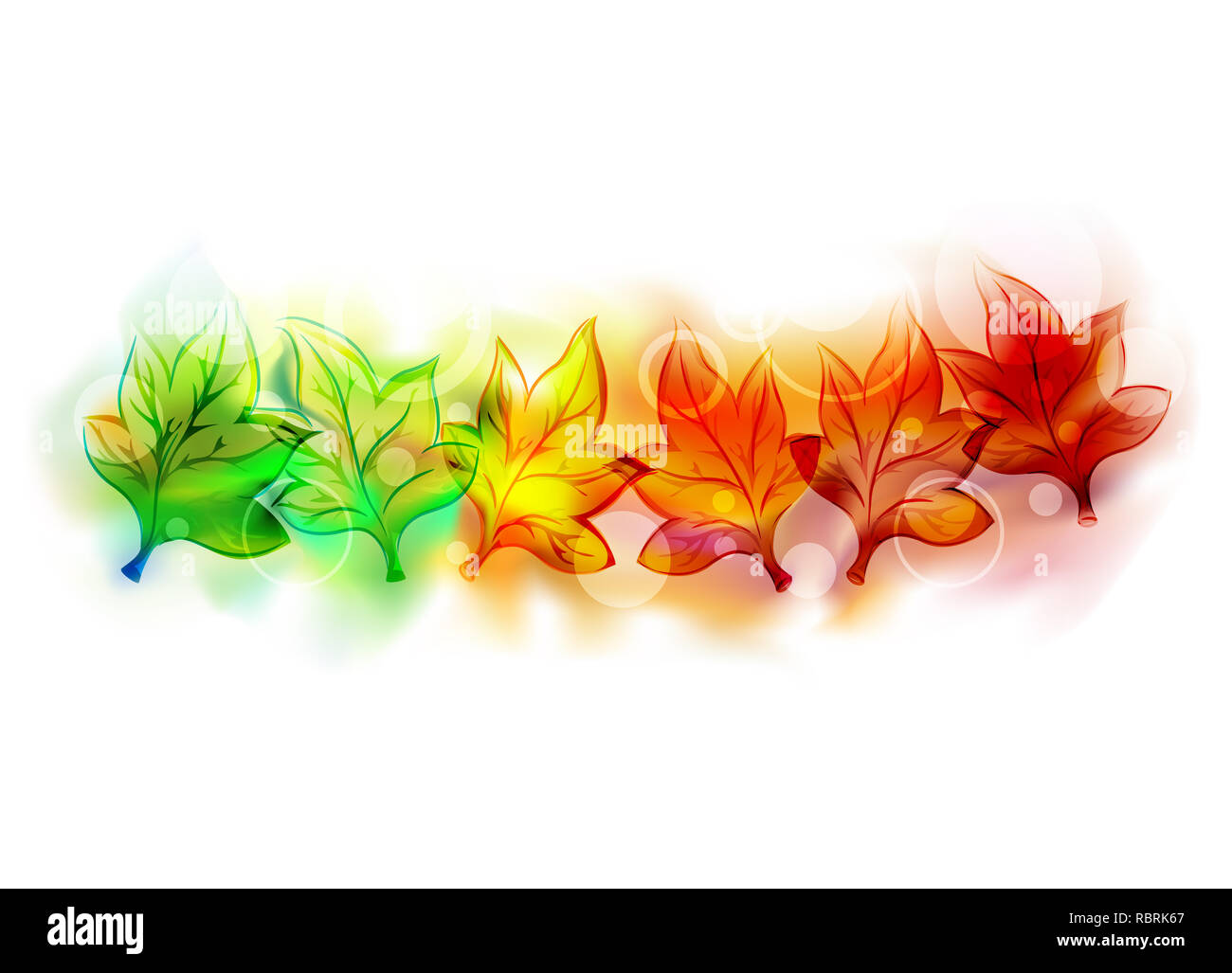 Illustration of Autumn Leaves with Varying Colors from Green to Yellow to Orange to Red eps10 Stock Photo