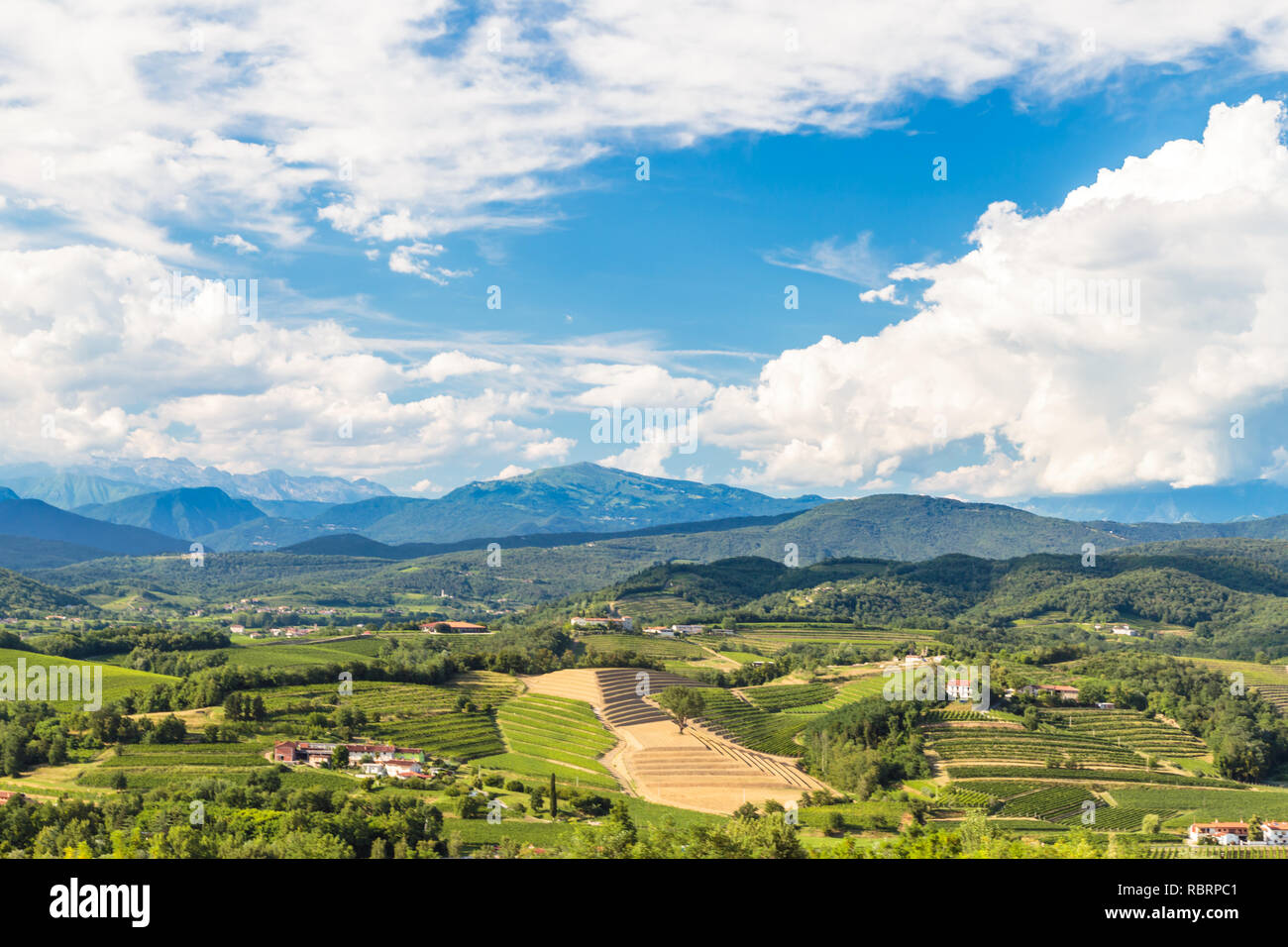 Italy slovenia border vineyard hi-res stock photography and images - Alamy
