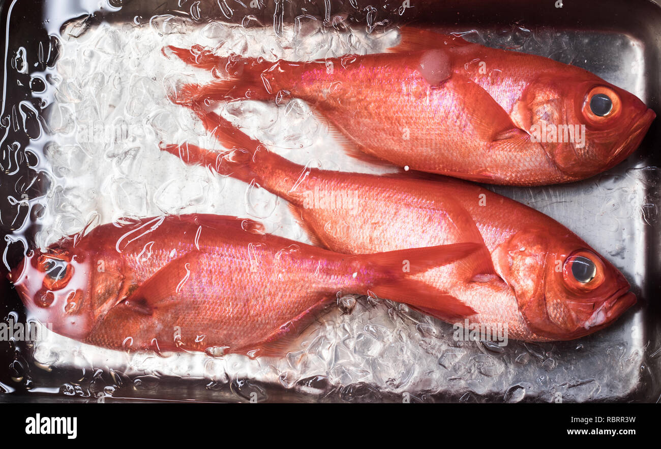 Freezing red fish with ice in supermarket.Food concepts idea Stock