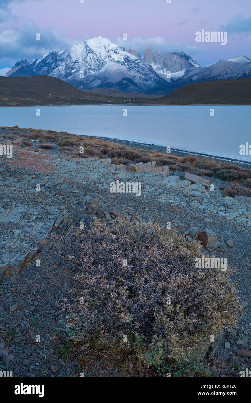 Along the shore of a beach in Patagonia, Chile and the Andes Mountains in the distance. Stock Photo