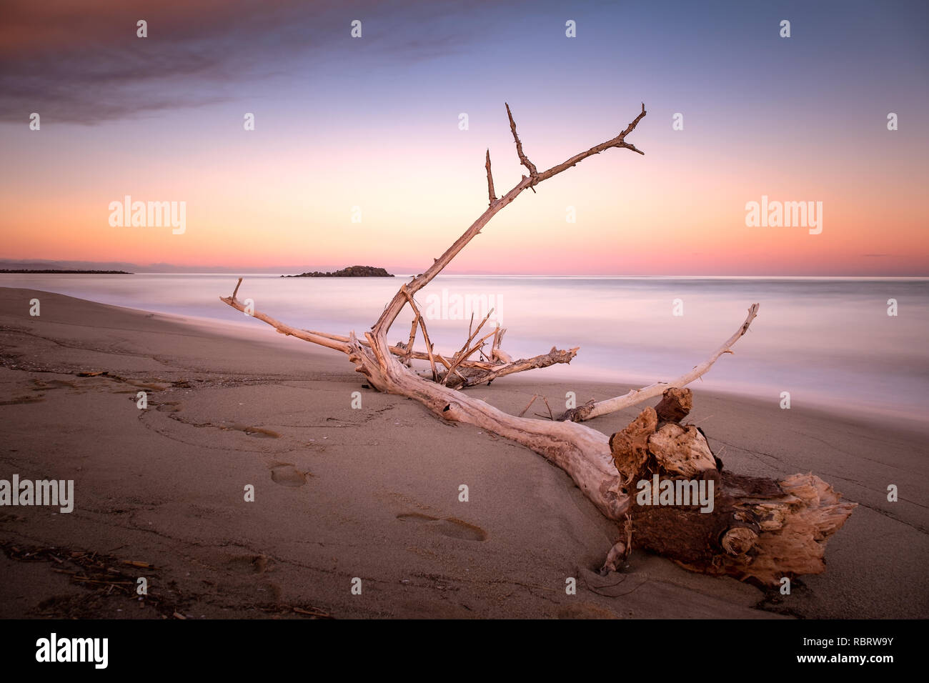 Wood branch on a sandy beach on twilight sunset time. Long Exposure Photography Stock Photo
