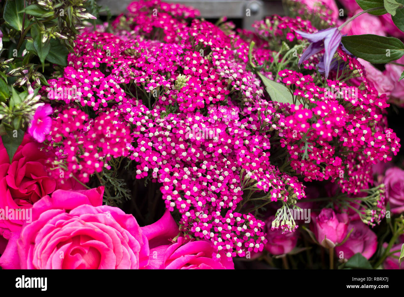 The colorful variety of flowers sold in the market in London. Stock Photo