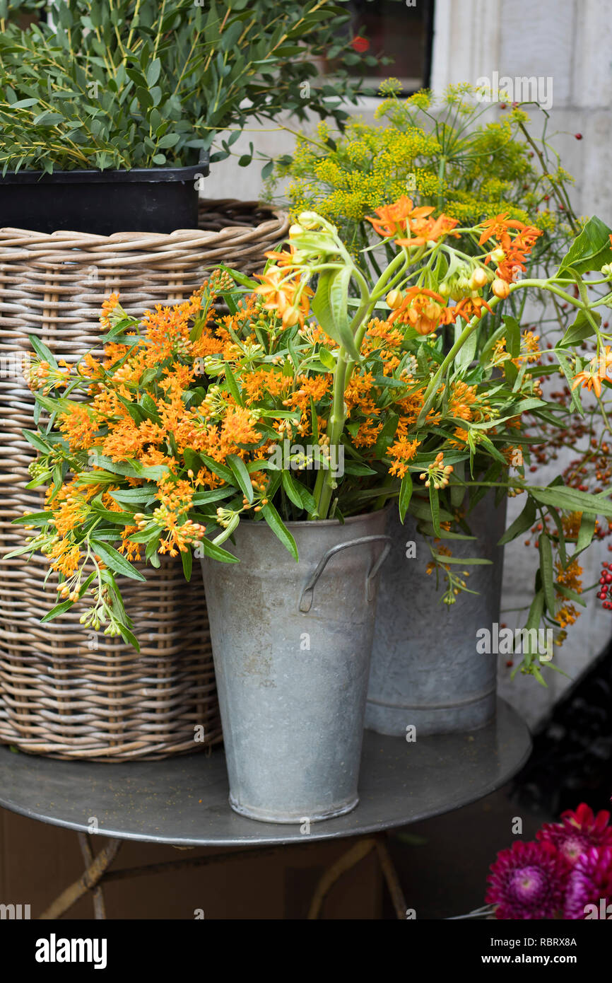The colorful variety of flowers sold in the market in London Stock